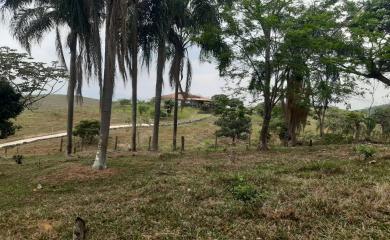 Sítio à venda com 3 quartos, 87000m² - Foto 21