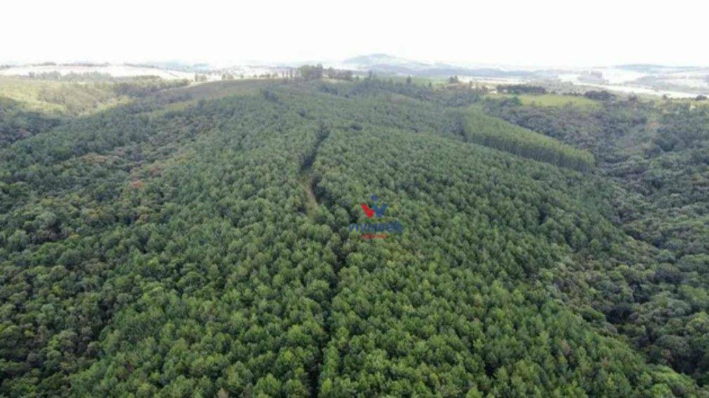 Fazenda à venda com 3 quartos, 1116000M2 - Foto 16