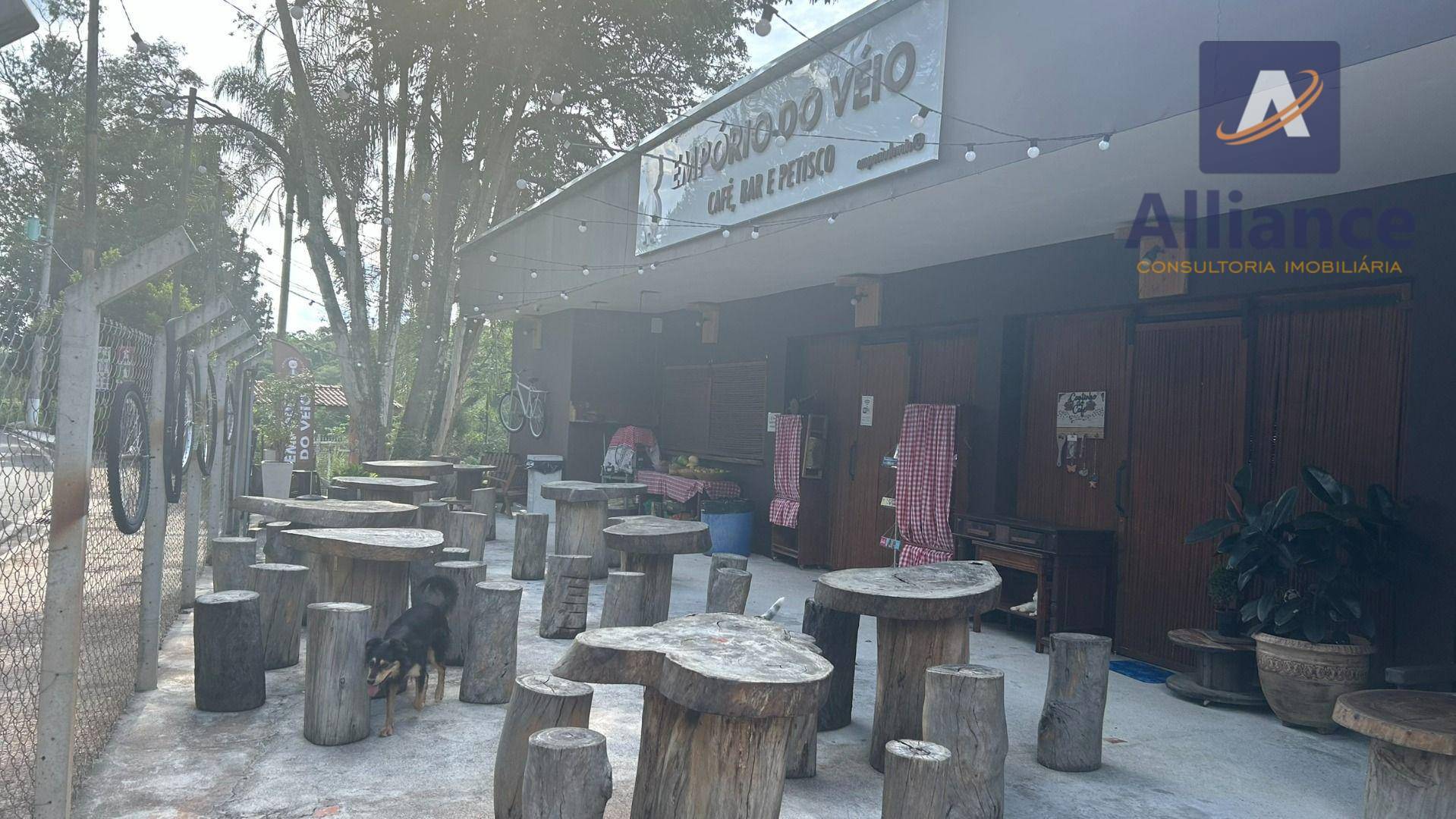 Terreno, 3 hectares - Foto 47