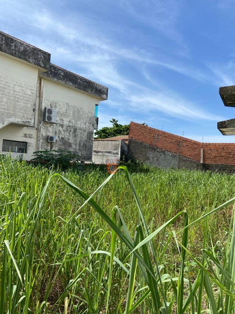 Terreno, 366 m² - Foto 4