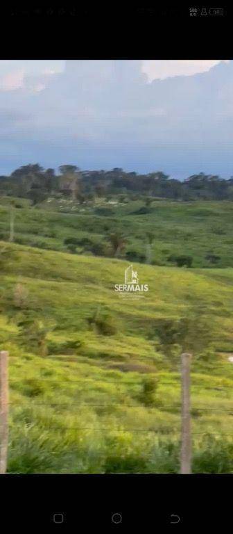 Fazenda-Sítio-Chácara, 814 hectares - Foto 4