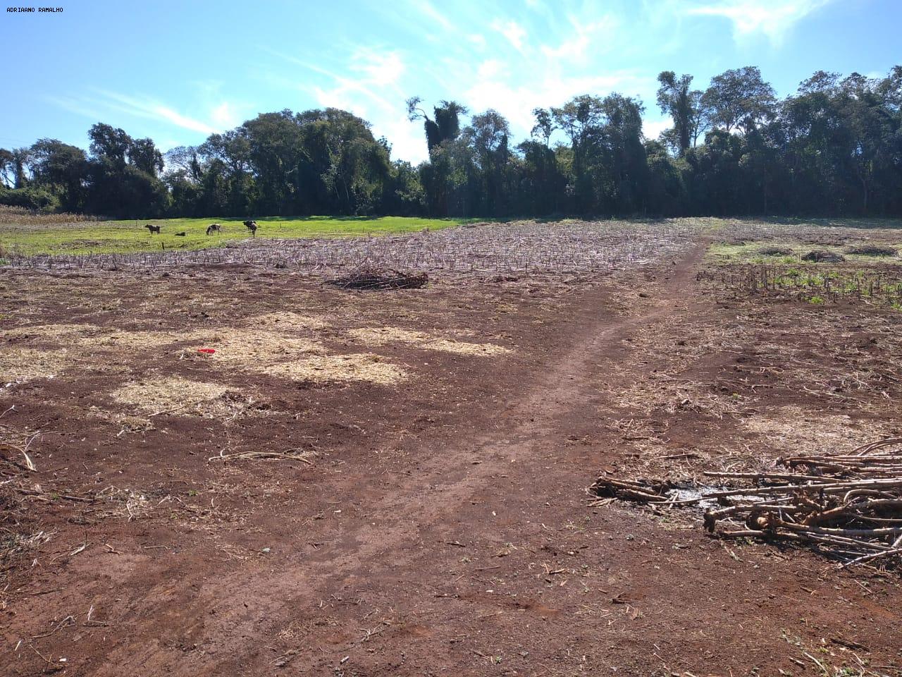 Fazenda para alugar com 3 quartos, 20000m² - Foto 20