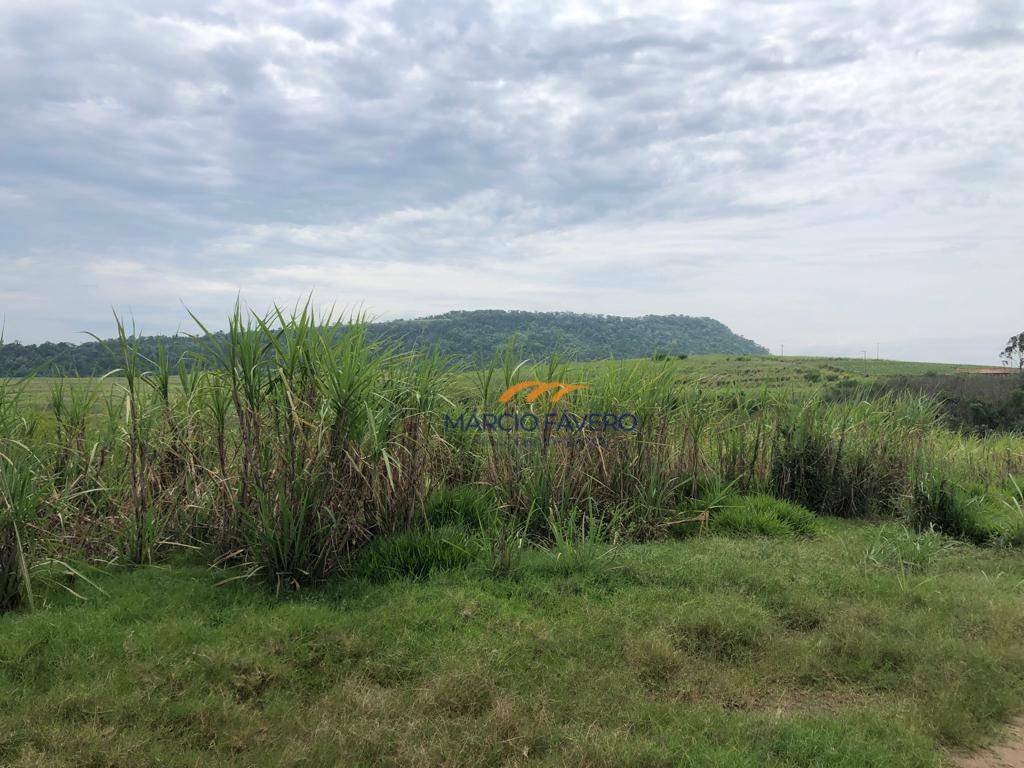 Fazenda à venda, 5808000M2 - Foto 15