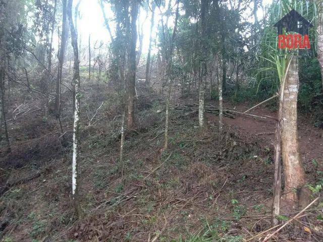 Terreno à venda, 1500M2 - Foto 5