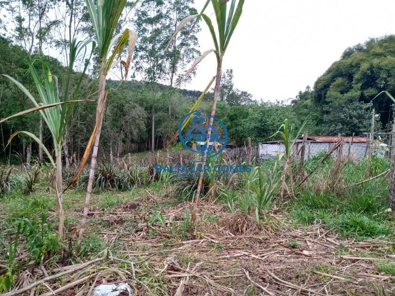 Fazenda à venda com 4 quartos, 7m² - Foto 23