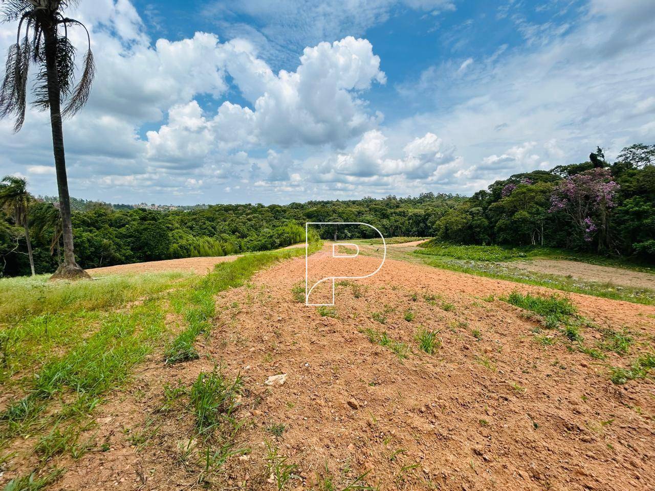 Terreno, 5 hectares - Foto 1