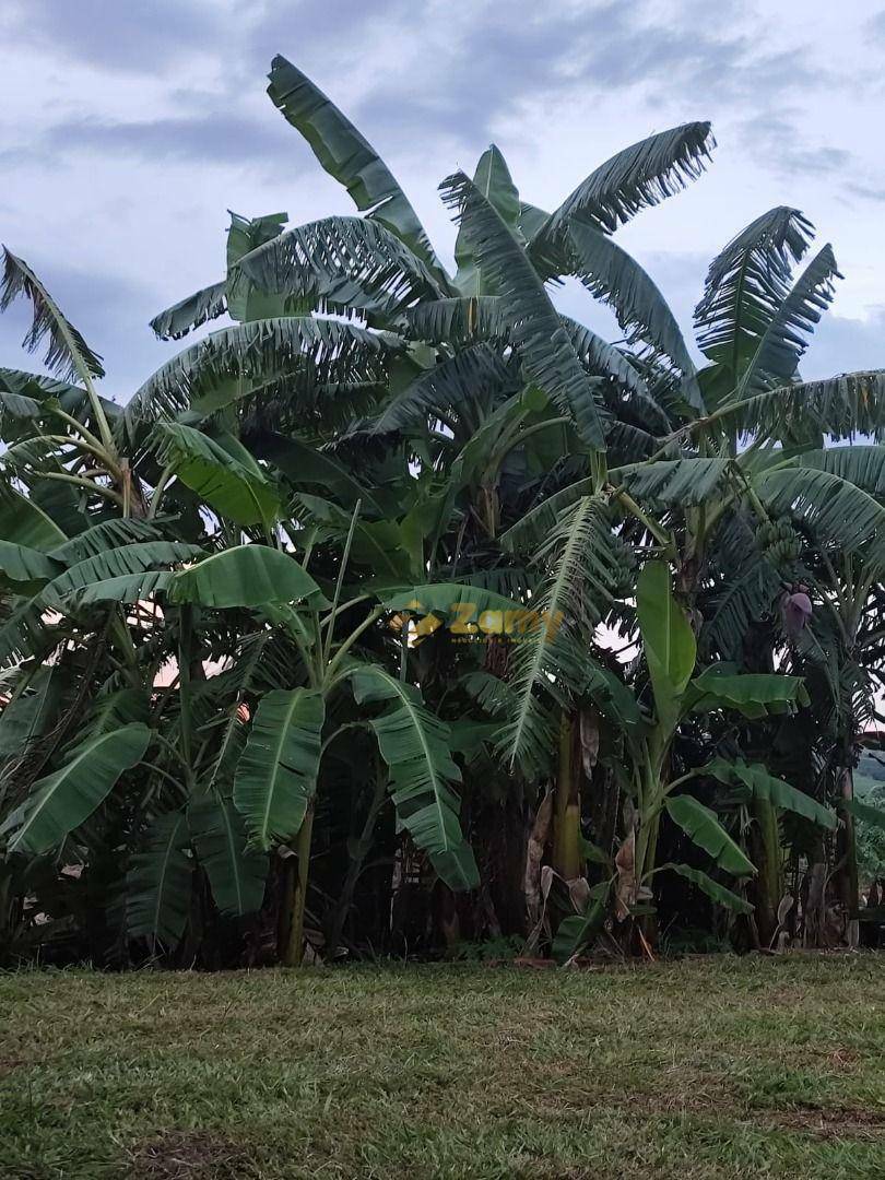 Chácara à venda com 2 quartos, 30000M2 - Foto 11