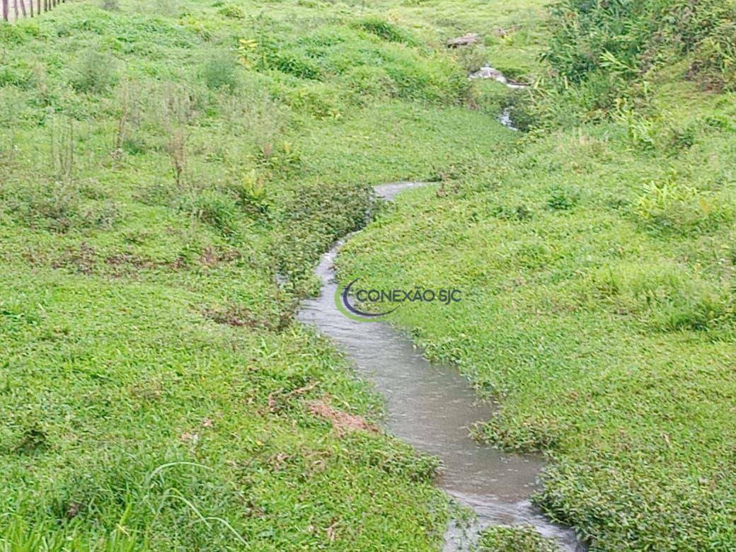 Fazenda à venda com 2 quartos, 1355200M2 - Foto 23