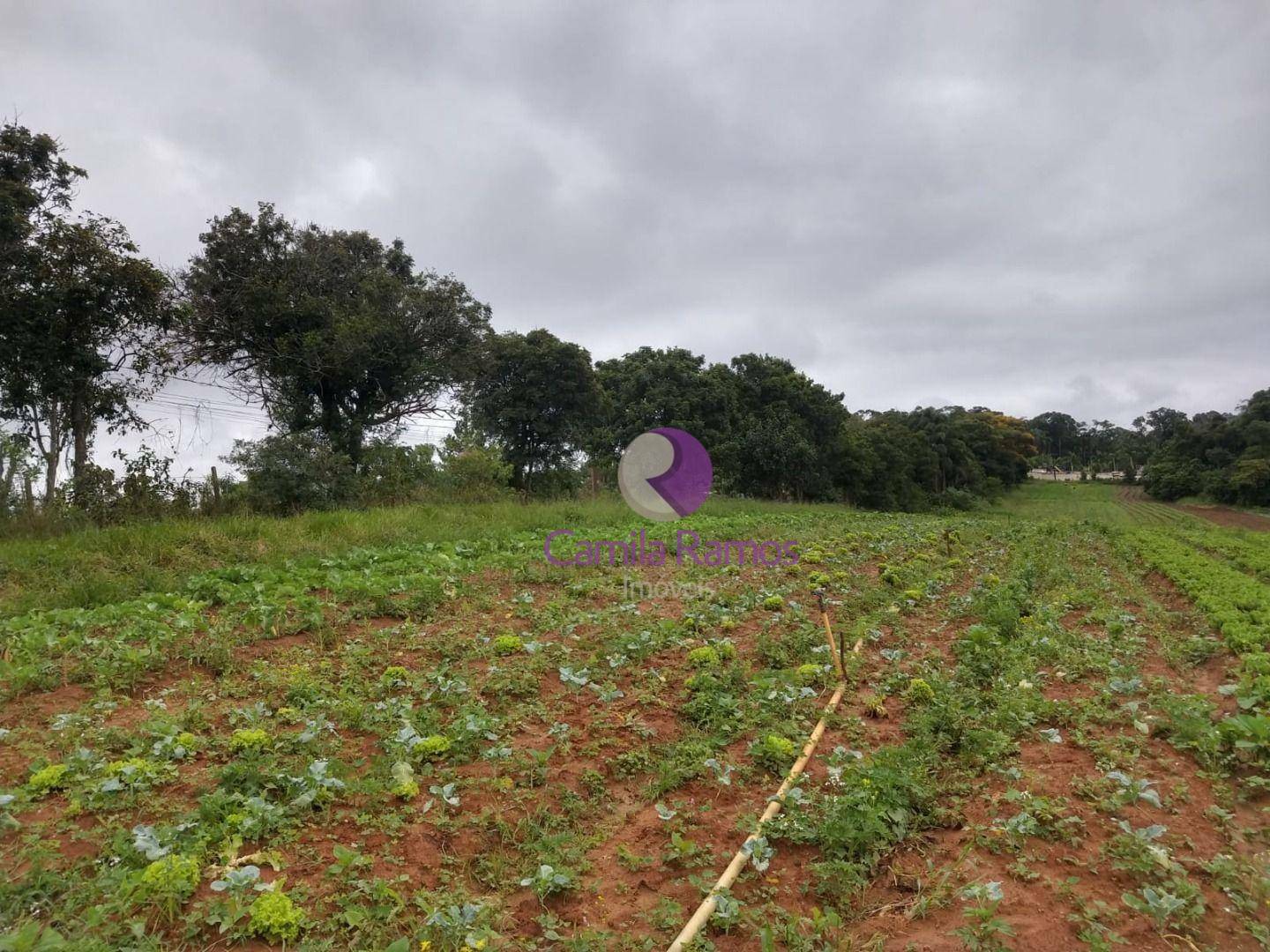 Terreno à venda, 176000M2 - Foto 7