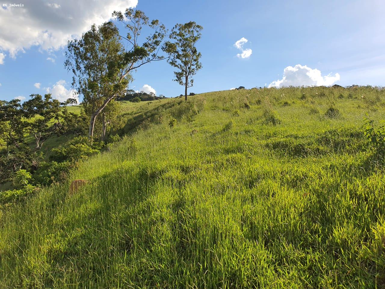 Fazenda à venda com 2 quartos, 220m² - Foto 26