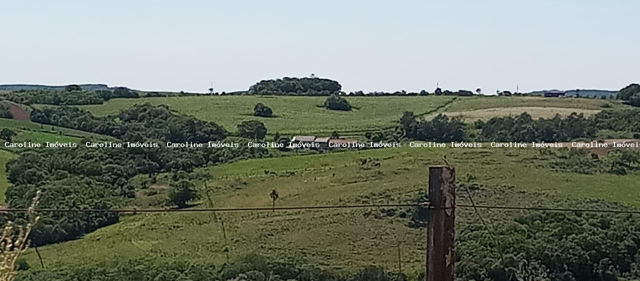 Sítio à venda com 4 quartos, 46500m² - Foto 25
