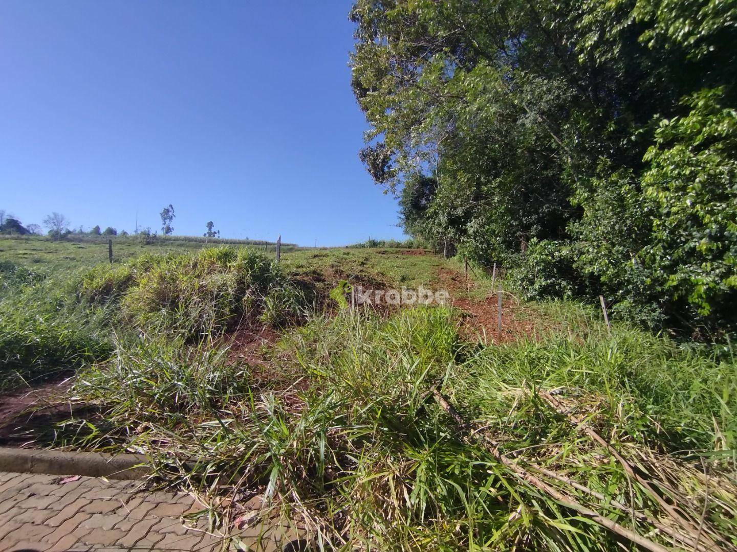 Terreno à venda, 271M2 - Foto 2