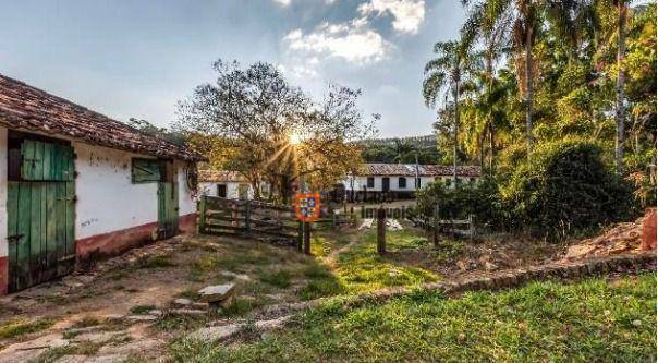 Fazenda à venda com 6 quartos, 500m² - Foto 7