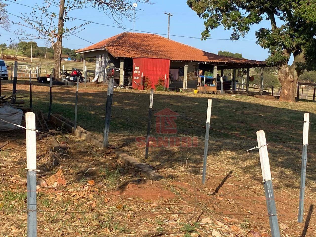 Sítio, 2 hectares - Foto 4