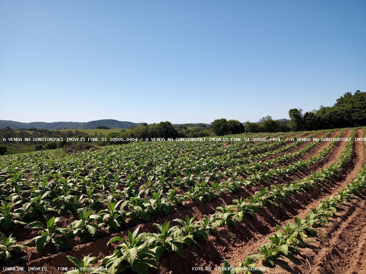Loteamento e Condomínio à venda, 15500m² - Foto 1