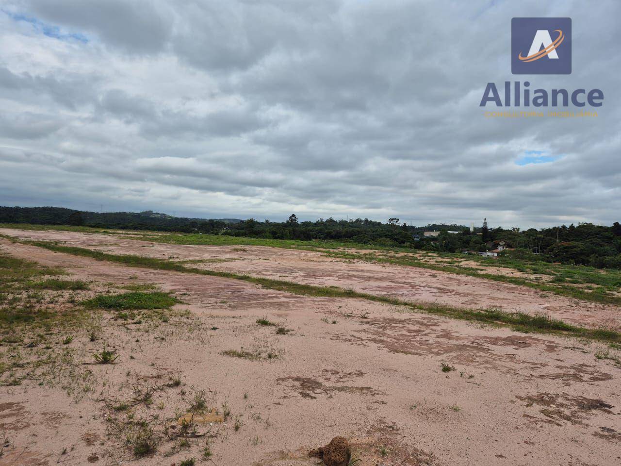 Terreno, 90 hectares - Foto 3