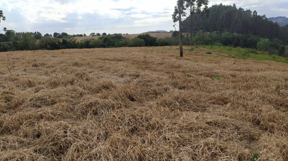 Fazenda à venda, 60m² - Foto 14