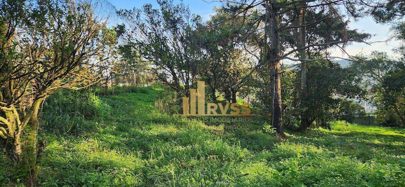Depósito-Galpão-Armazém à venda e aluguel, 7267m² - Foto 90