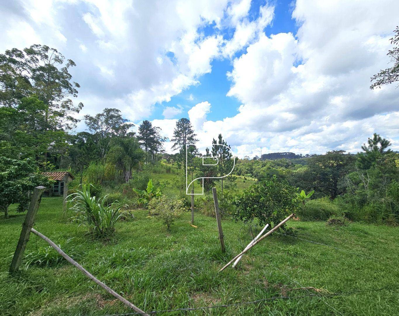 Terreno, 4 hectares - Foto 20