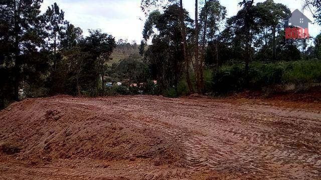 Terreno à venda, 1250M2 - Foto 5