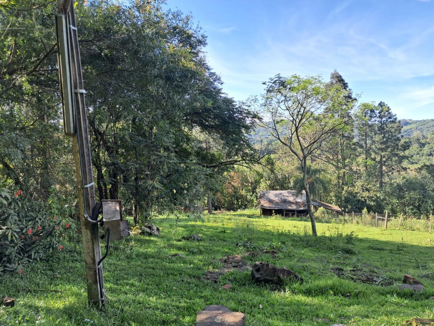 Fazenda à venda com 3 quartos, 7m² - Foto 13