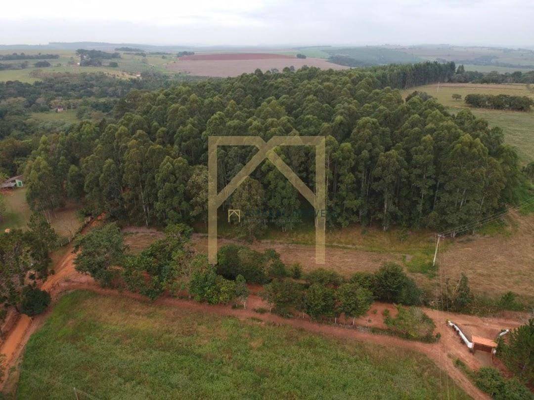 Fazenda à venda com 3 quartos, 210m² - Foto 6