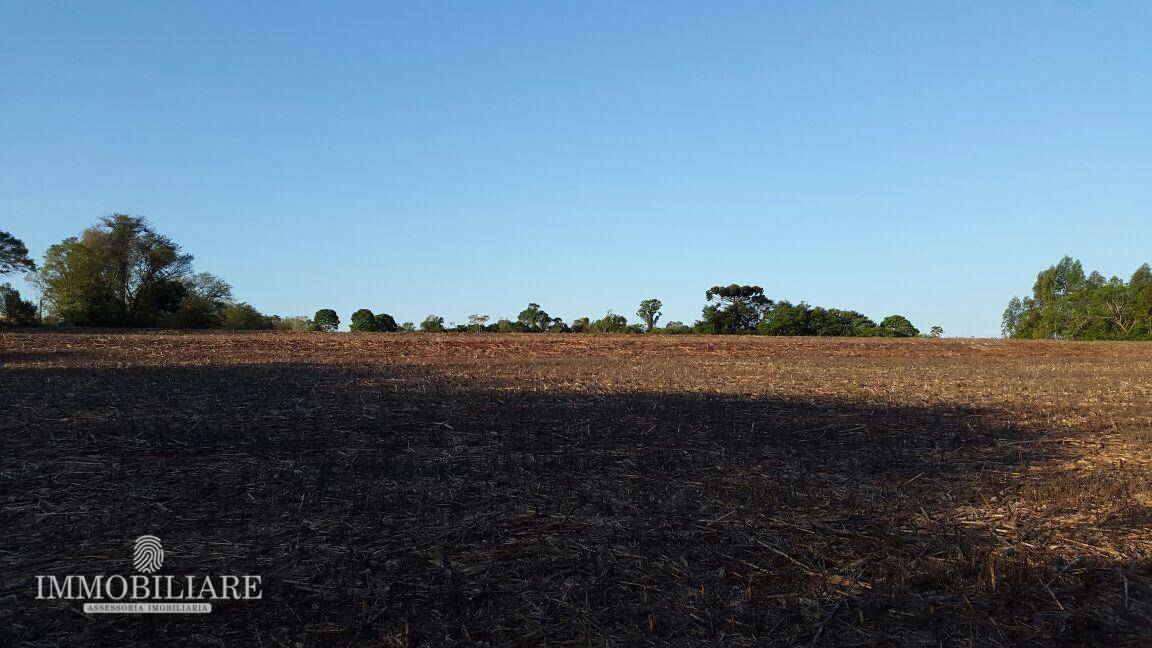 Terreno à venda, 2000000M2 - Foto 4