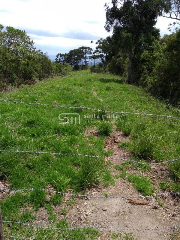 Fazenda à venda, 24m² - Foto 36