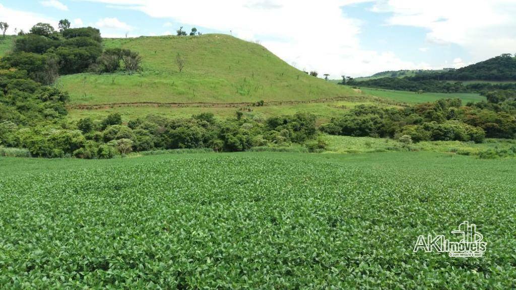 Fazenda à venda com 1 quarto, 2819300M2 - Foto 10