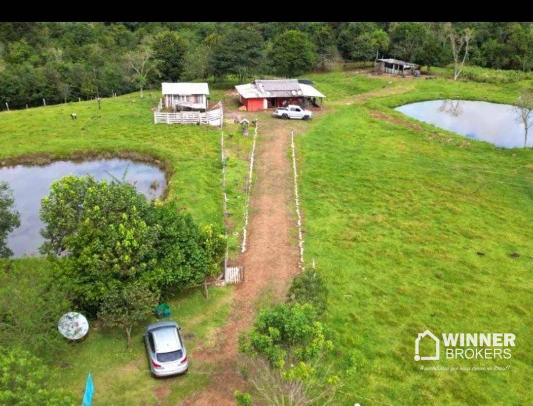 Chácara, 4 quartos, 4 hectares - Foto 4