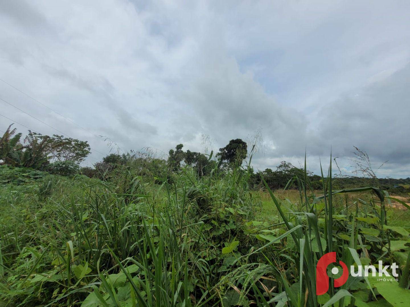 Terreno à venda, 58000M2 - Foto 6