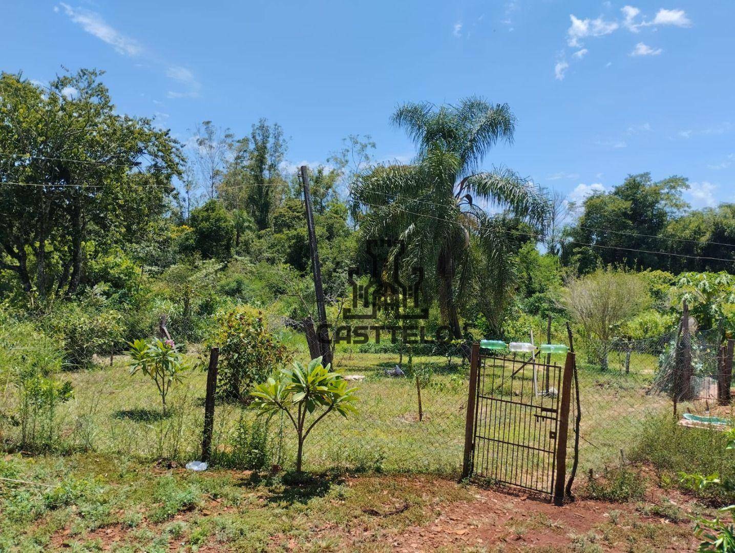 Chácara à venda com 3 quartos, 16720M2 - Foto 27