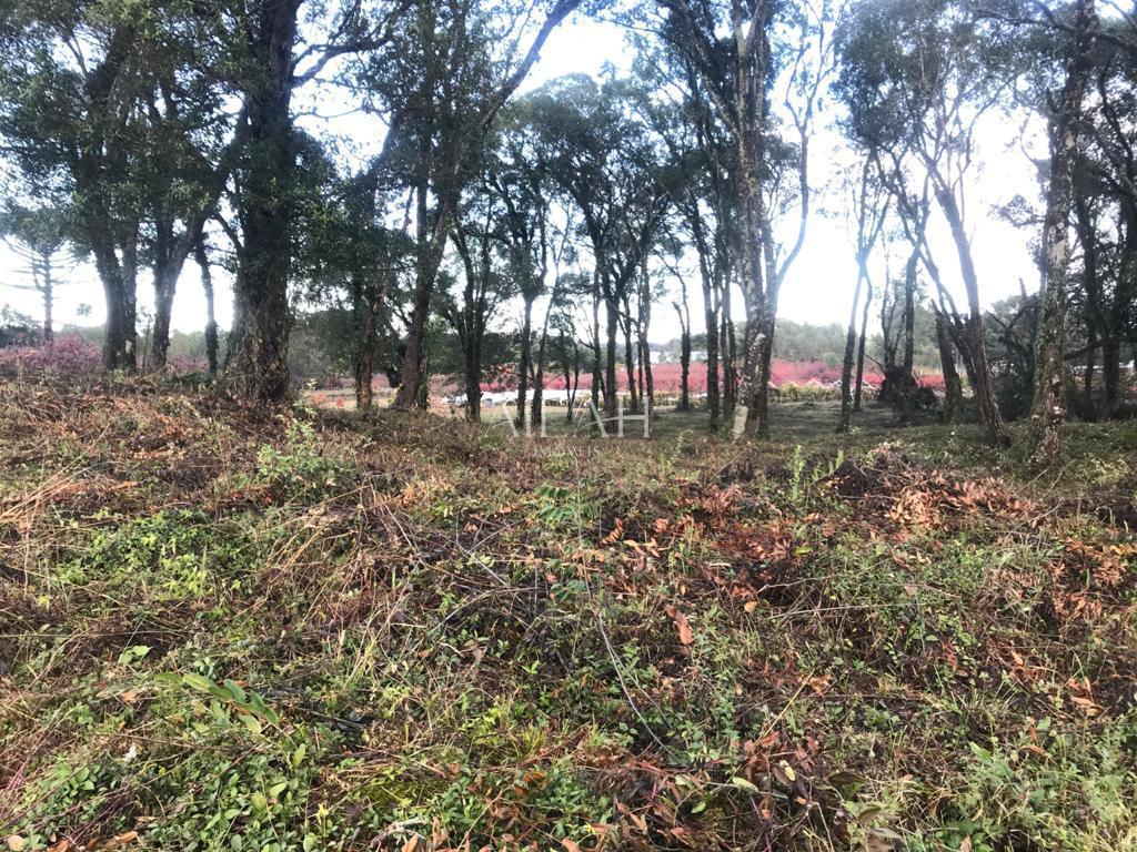Terreno à venda, 527m² - Foto 38