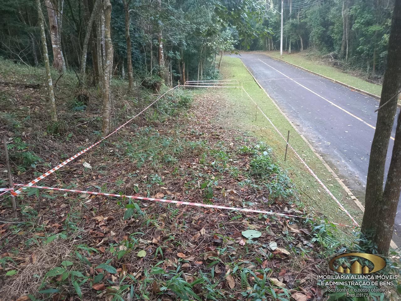 Terreno à venda, 5100m² - Foto 4