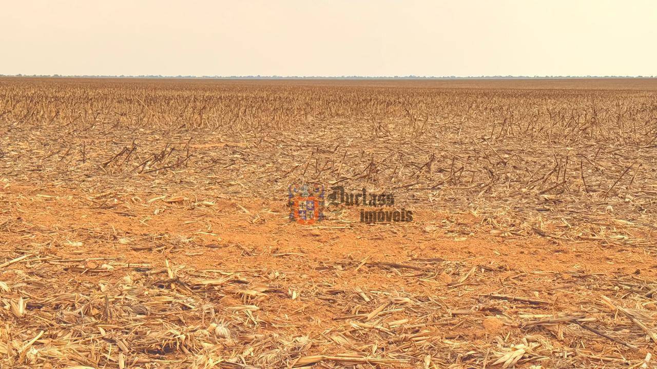 Fazenda, 7236 hectares - Foto 3