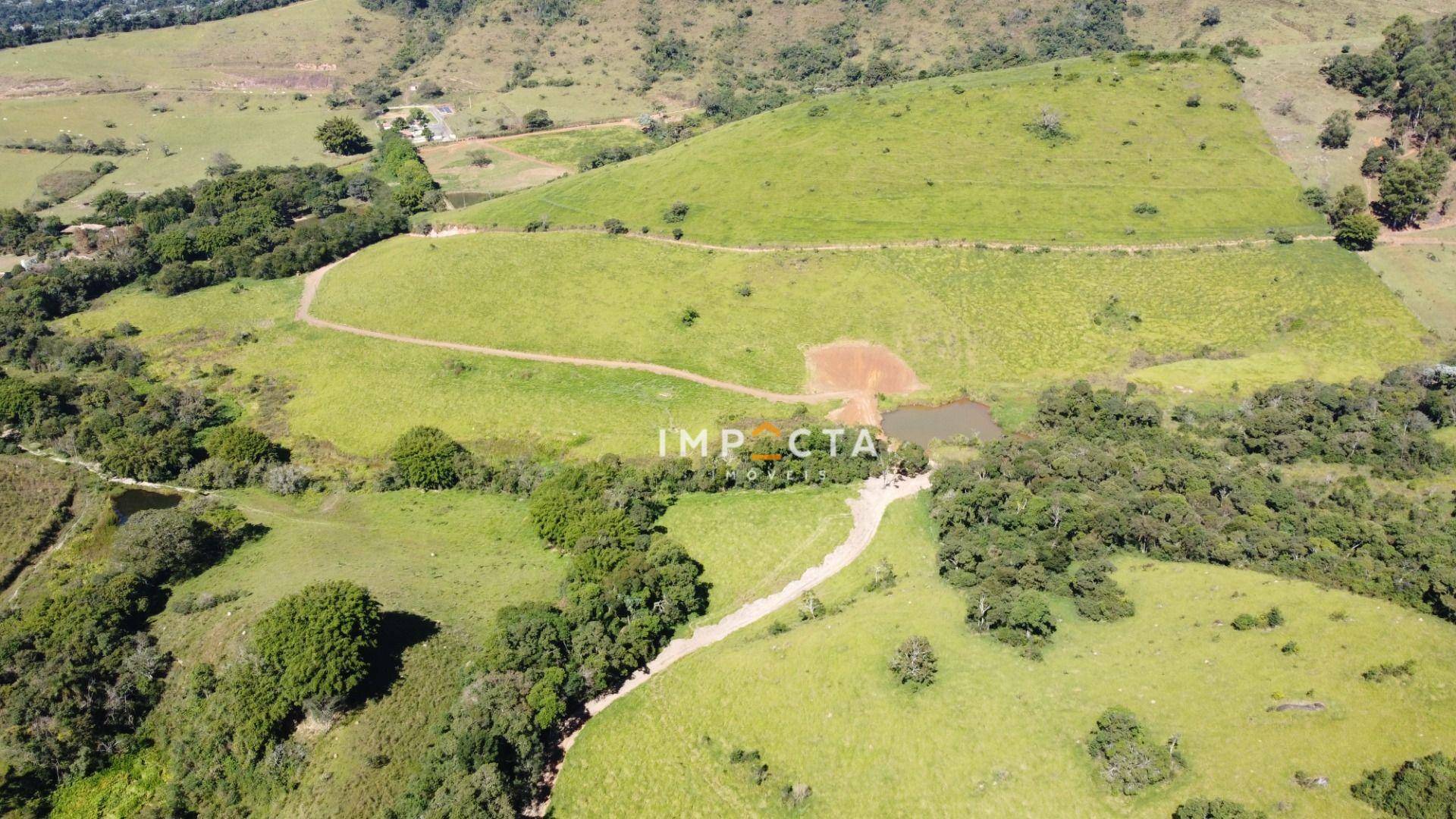 Fazenda à venda com 5 quartos, 450m² - Foto 93