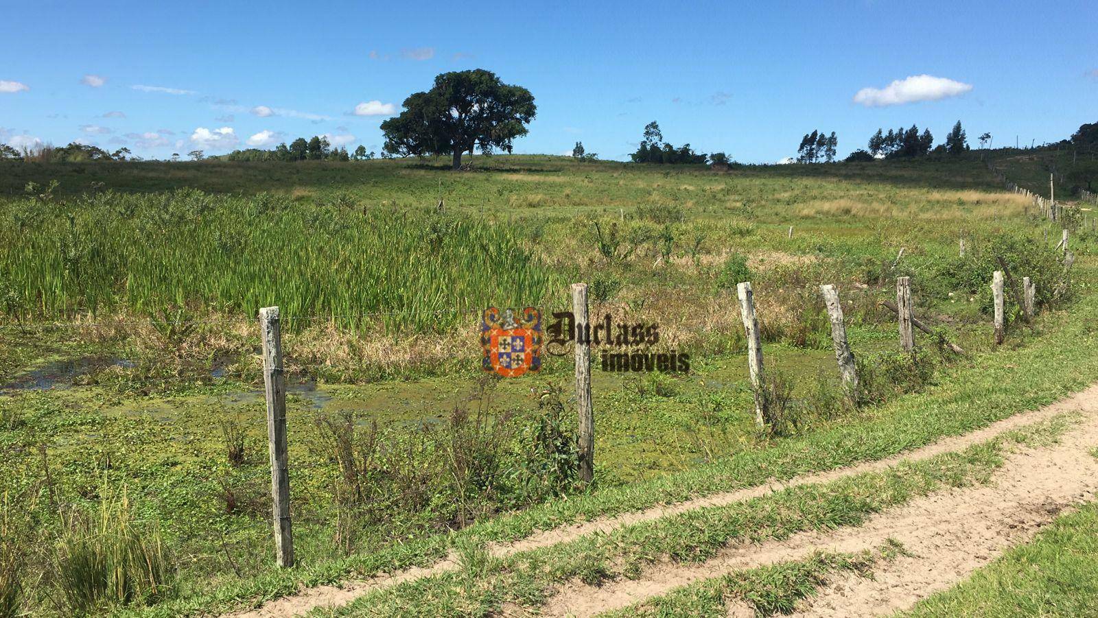 Fazenda à venda, 1258400M2 - Foto 3