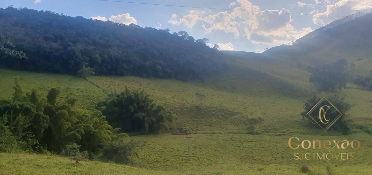 Fazenda-Sítio-Chácara, 106 hectares - Foto 2