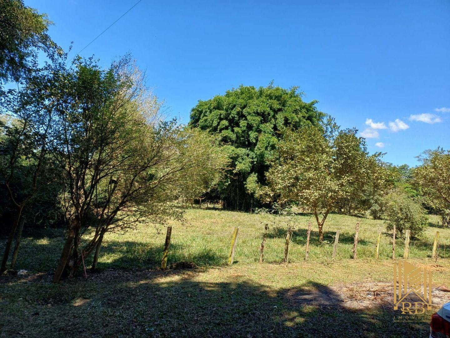 Chácara à venda com 2 quartos, 10500M2 - Foto 6