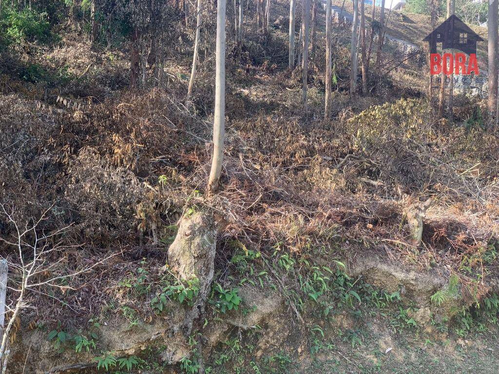 Loteamento e Condomínio à venda, 1174M2 - Foto 9