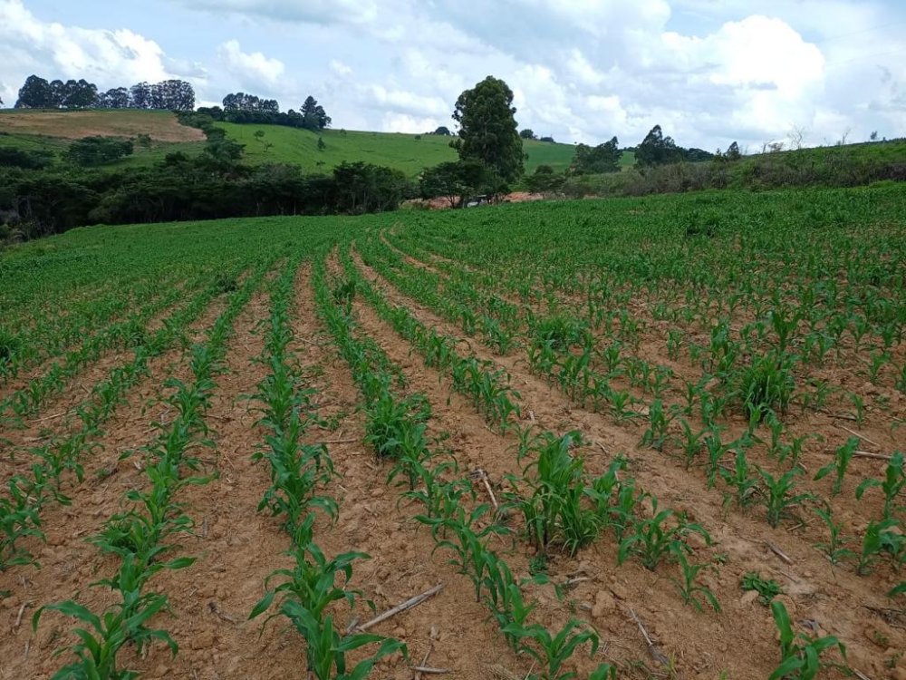 Fazenda à venda, 239m² - Foto 9