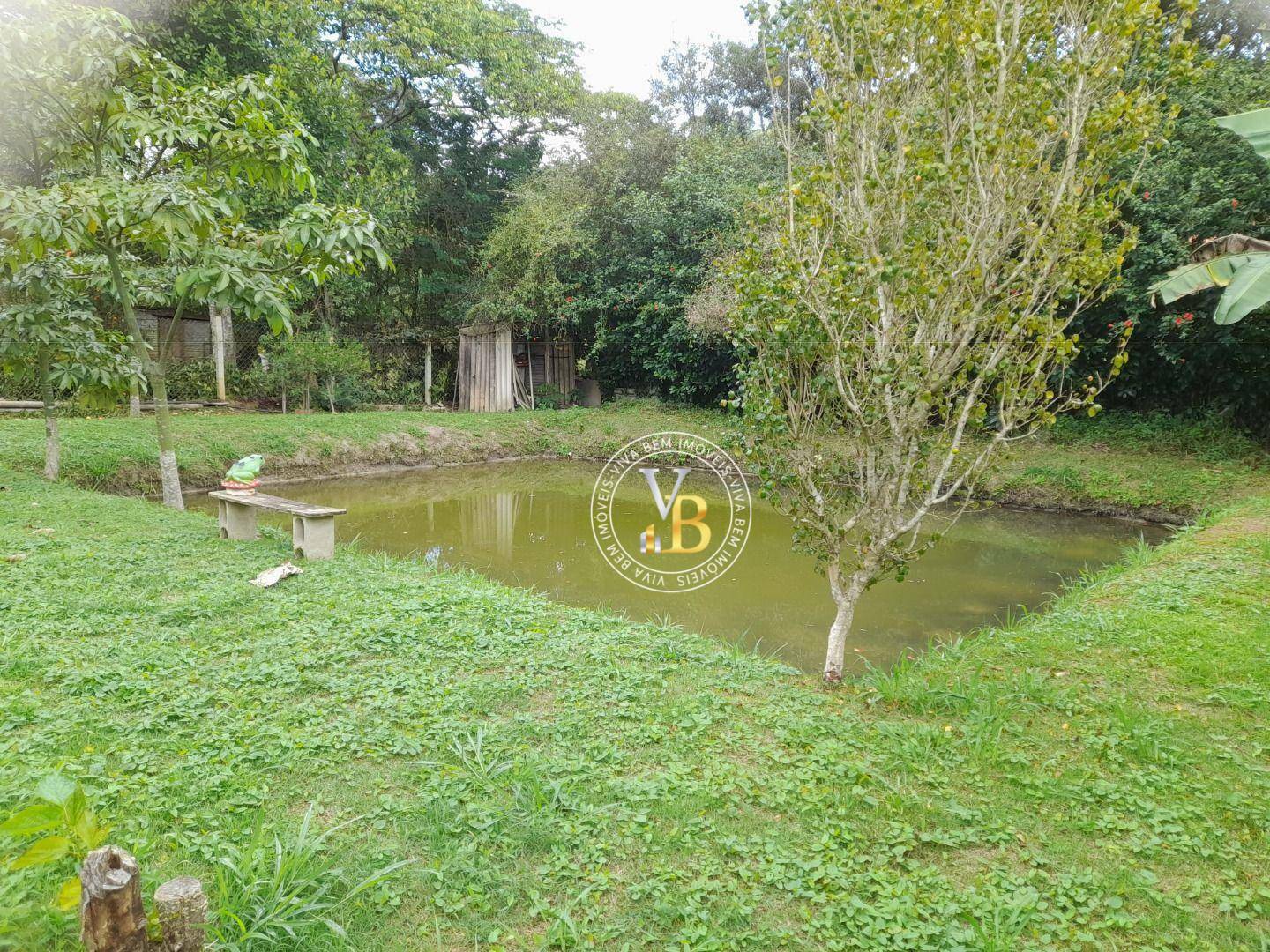 Sítio, 2 quartos, 1000 m² - Foto 4