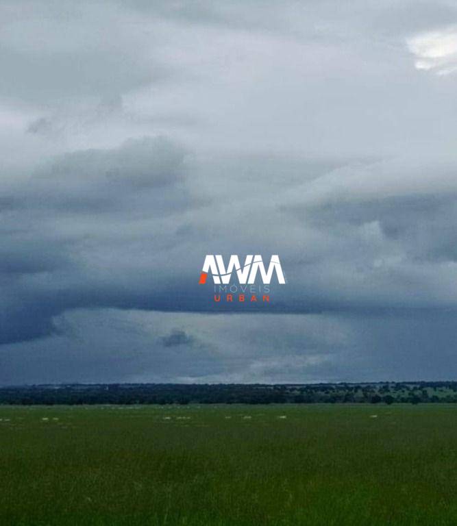 Fazenda, 1239 hectares - Foto 6