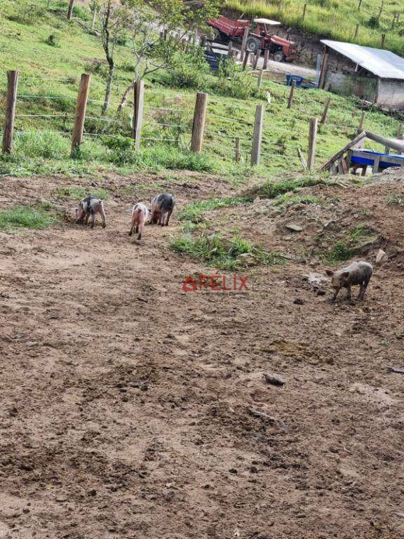 Fazenda à venda com 3 quartos, 1400000M2 - Foto 15