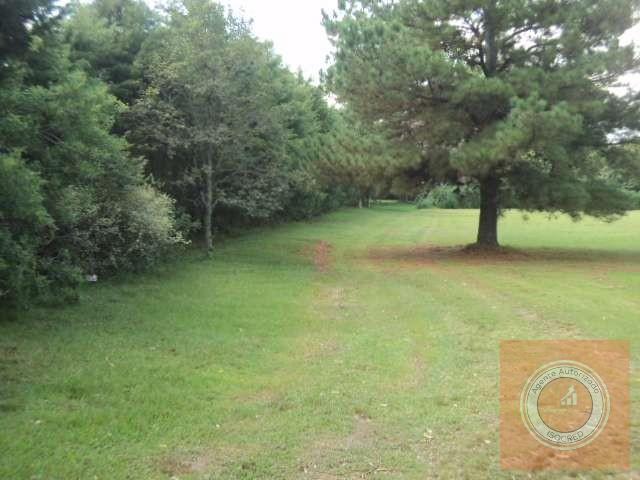 Sítio à venda com 3 quartos, 40000m² - Foto 7