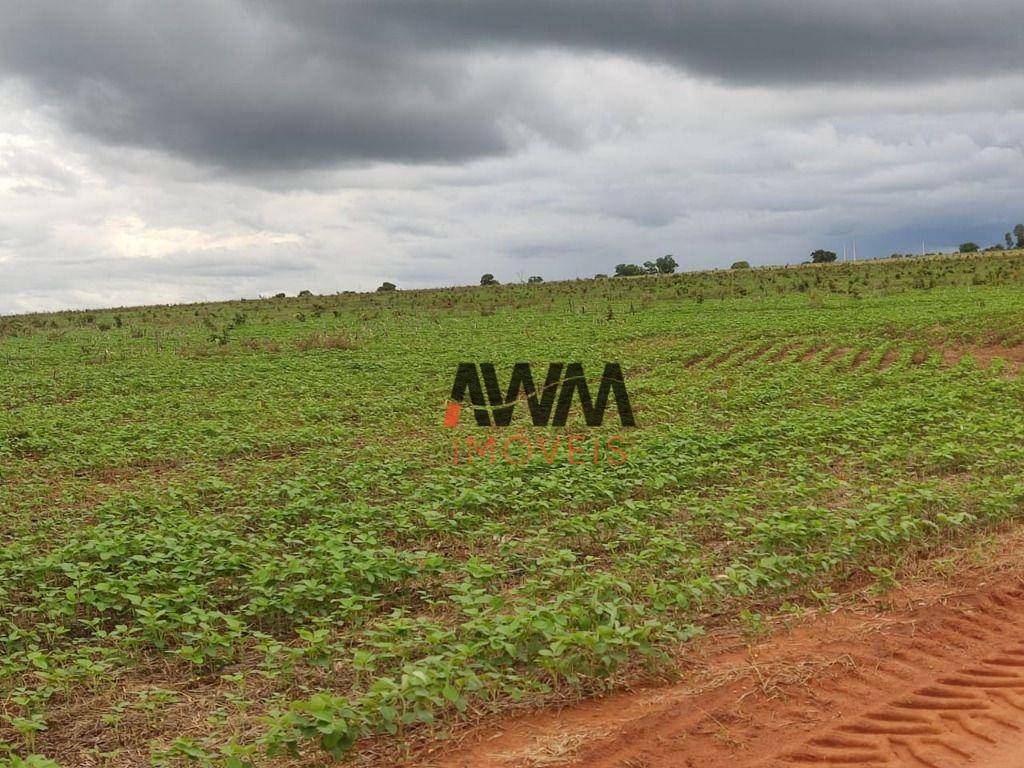 Fazenda à venda, 29999772M2 - Foto 11