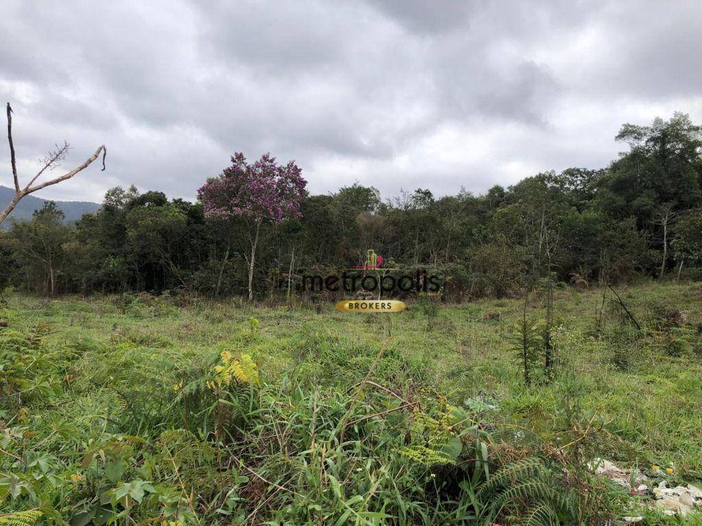 Terreno, 4 hectares - Foto 2