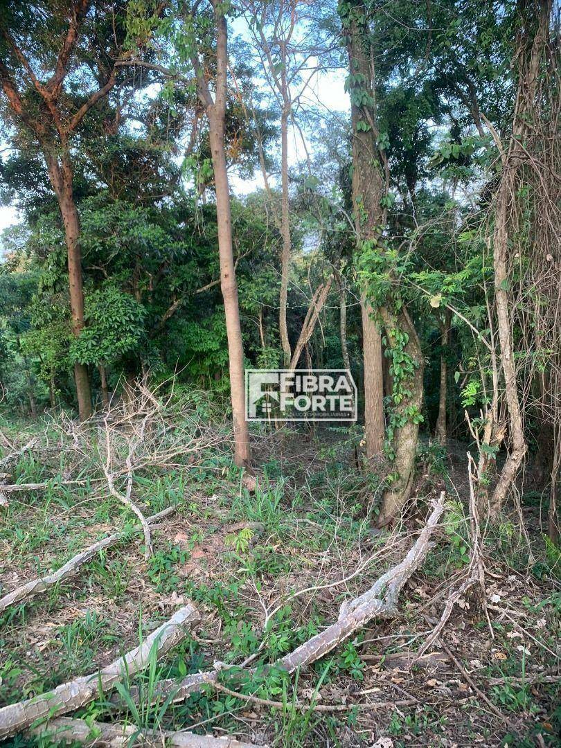 Terreno à venda, 3000M2 - Foto 5