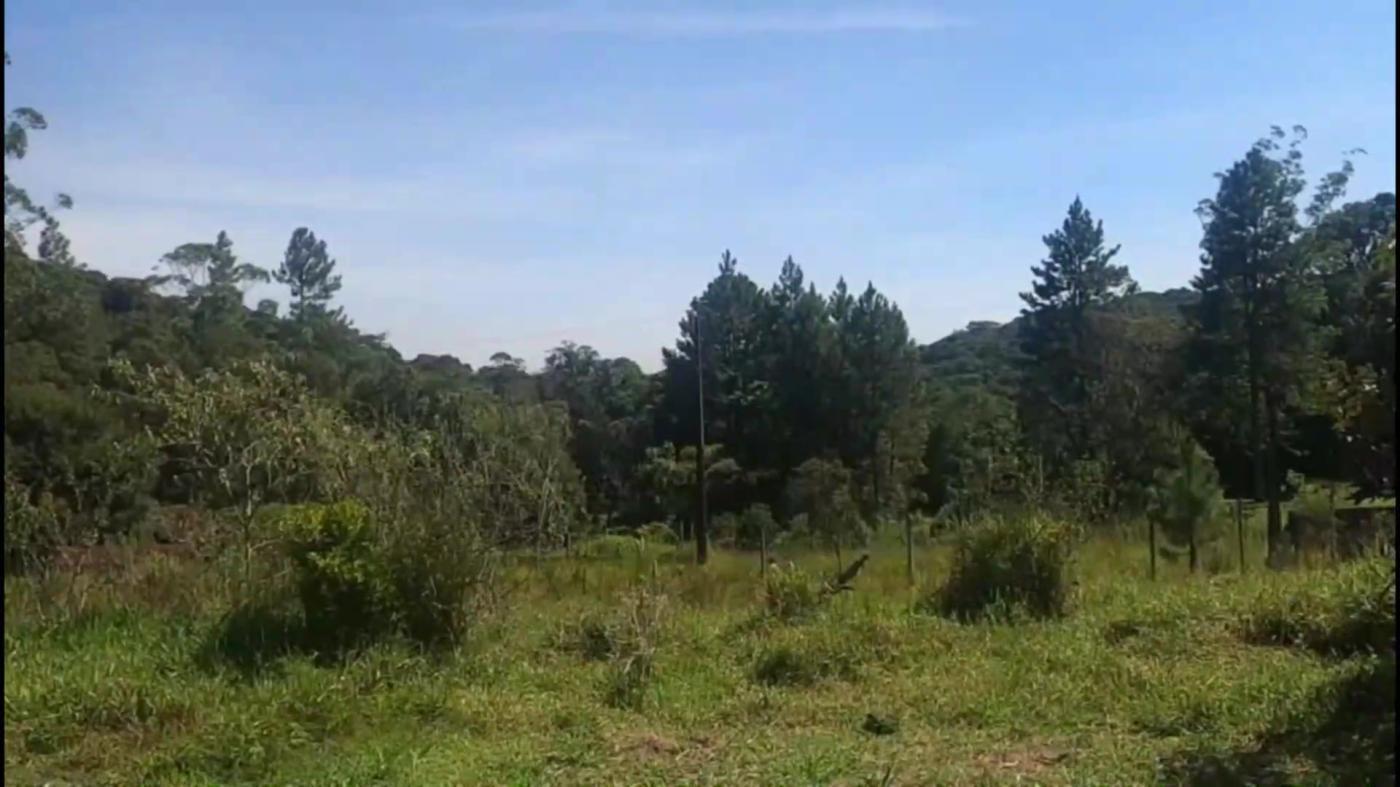 Chácara à venda com 2 quartos, 1800m² - Foto 19