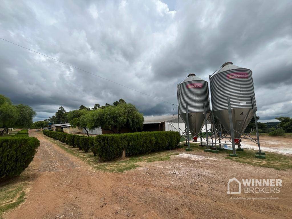 Terreno à venda, 60500M2 - Foto 11